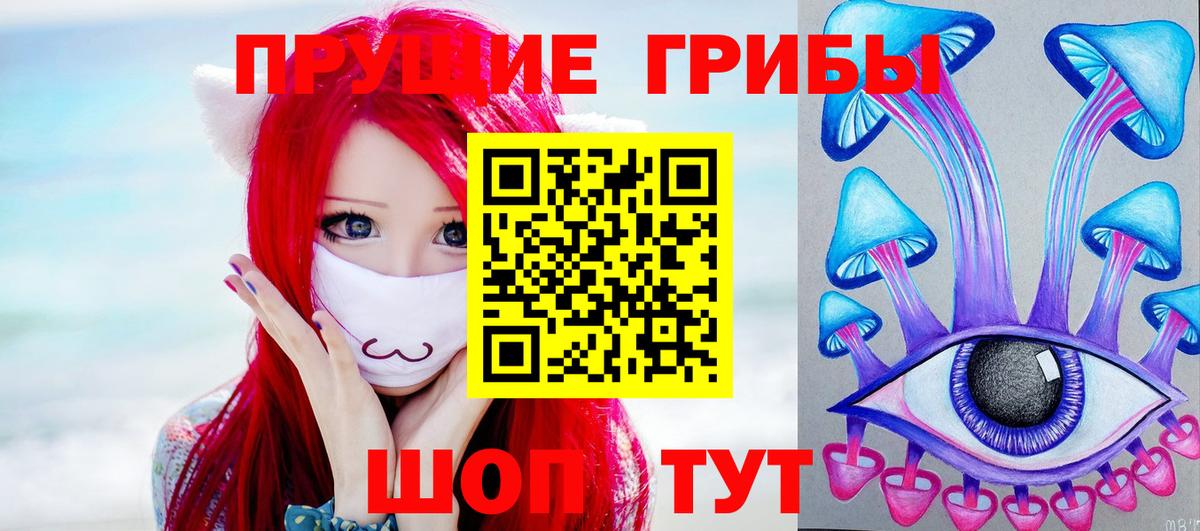 Псилоцибиновые грибы Magic Shrooms  Вход с VPN  Менделеевск  Галлюциногенные грибы Psilocybine cubensis 
